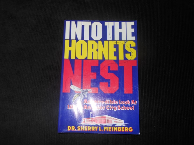Into the Hornet's Nest An Incredible Look at Life in an Inner City School