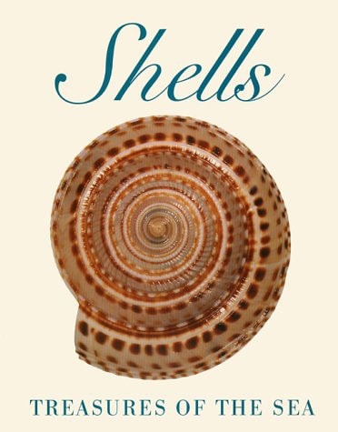 Shells Treasures of the Sea