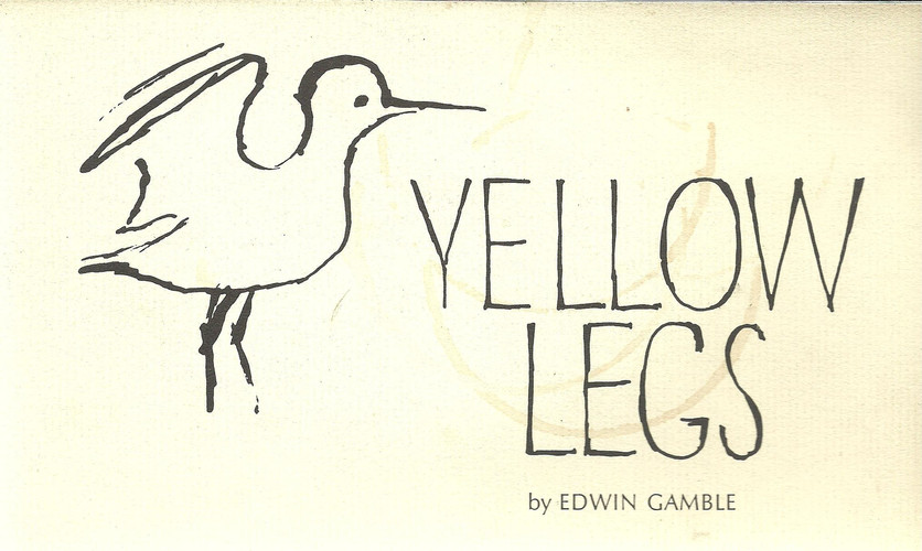 Yellow Legs