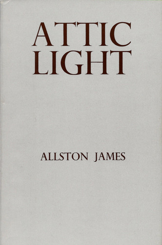 Attic Light