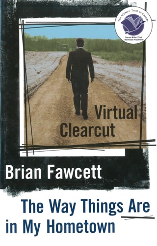 Virtual Clearcut Or, The Way Things Are in My Hometown