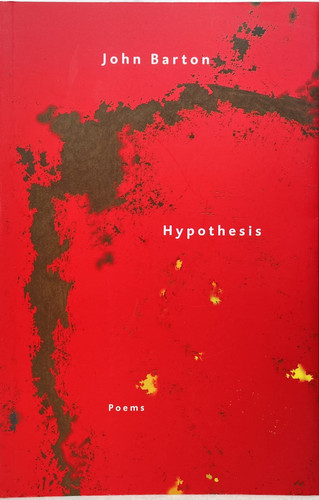 Hypothesis