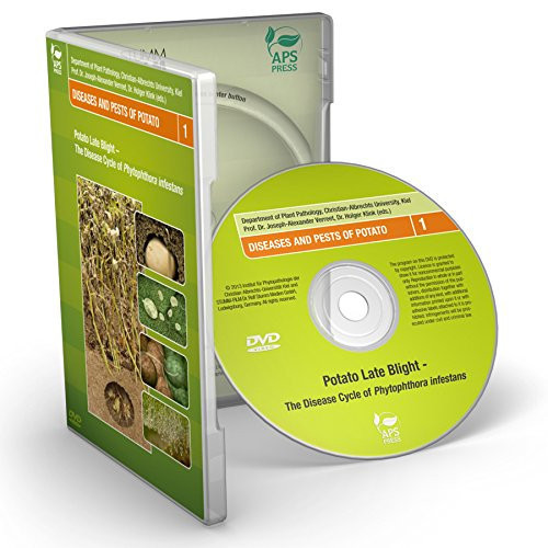 Potato Late Blight: The Disease Cycle of Phytophthora infestans (Video)