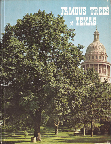 Famous Trees of Texas
