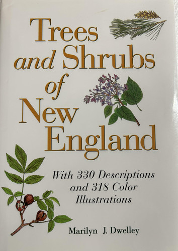Trees and Shrubs of New England