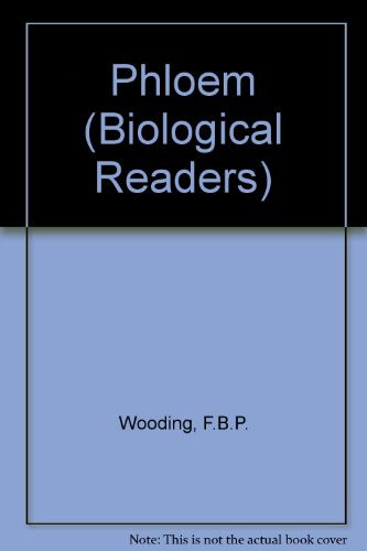 Phloem