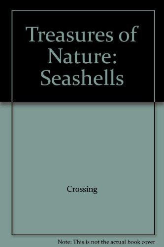 Treasures of Nature Seashells