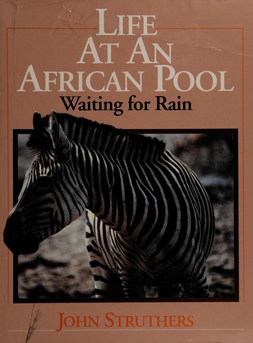 Life At An African Pool: Wait-Rain