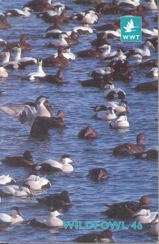 Wildfowl