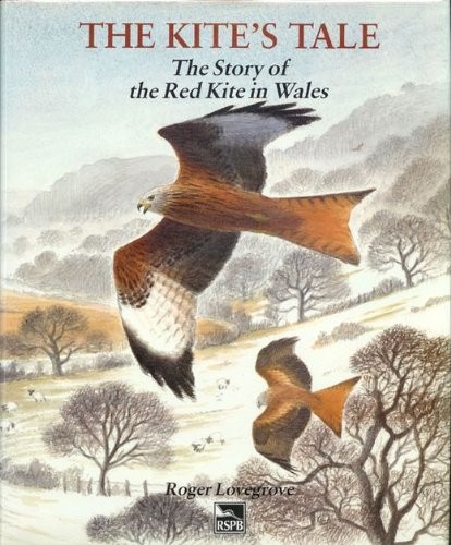 The Kite's Tale