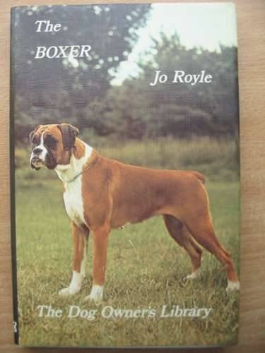 The Boxer