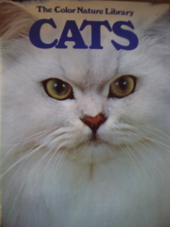 Katter