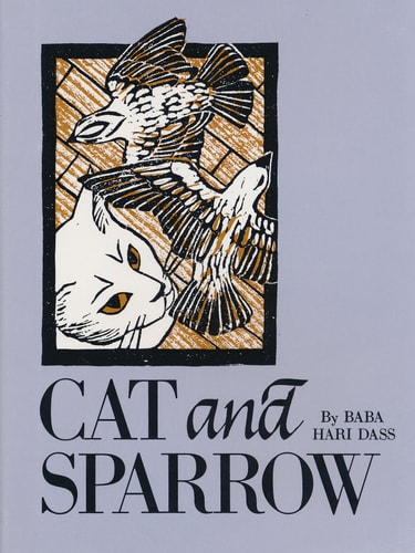 Cat and Sparrow