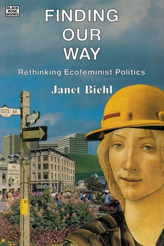 Finding Our Way: Rethinking Ecofeminist Politics