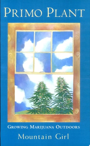 Primo Plant Growing Marijuana Outdoors