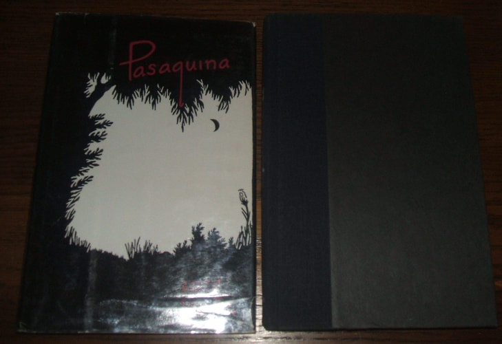 Pasaquina: A Novel of El Salvador
