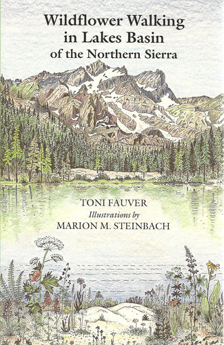 Wildflower Walking in Lakes Basin of the Northern Sierra