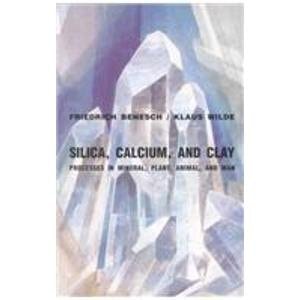 Silica, Calcium, and Clay Processes in Mineral, Plant, Animal, and Man