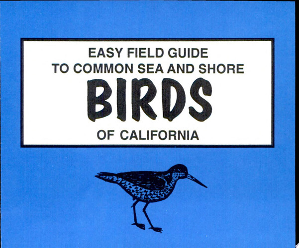 Easy Field Guide to Common Sea and Shore Birds of California