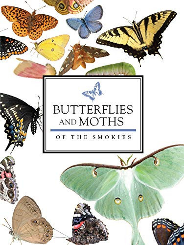 Butterflies and Moths of the Smokies