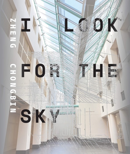 Zheng Chongbin I Look for the Sky