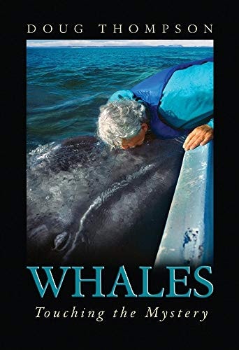 Whales: Touching The Mystery