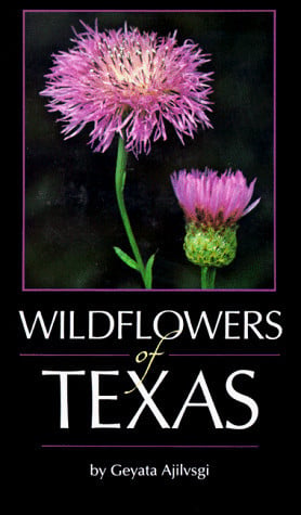 Wildflowers of Texas