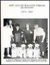 Soft-Coated Wheaten Terrier Champions, 1973-1987