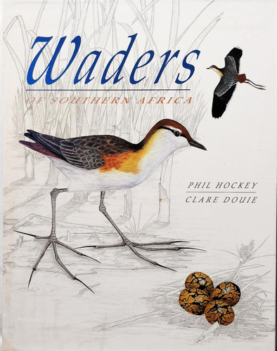 Waders of southern Africa