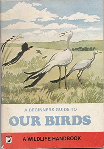 A Beginner's Guide to Our Birds