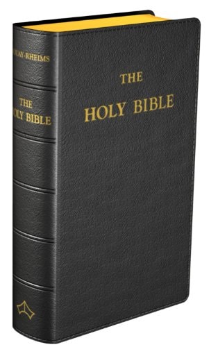 The Holy Bible Translated from the Latin Vulgate, Diligently Compared with the Hebrew, Greek and Other Editions in Divers Languages : the Old Testament First Published by the English College at Douay, A.D. 1609, and the New Testament First Published by the English College at Rheims, A.D. 1582 : with Annotations, References, and an Historical and Chronological Index