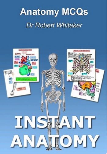 Anatomy MCQs