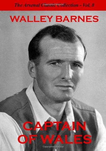 Captain of Wales
