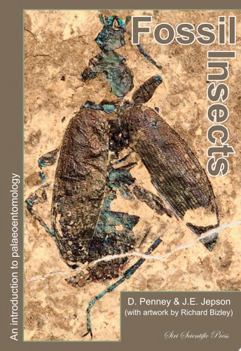 Fossil Insects An introduction to palaeoentomology