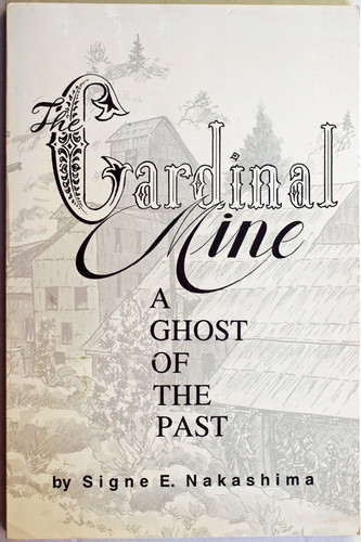 The Cardinal Mine A Ghost of the Past