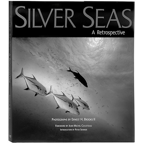 Silver Seas A Retrospective