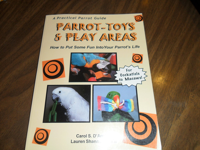 Parrot Toys & Play Areas How to Put Some Fun Into Your Parrot's Life