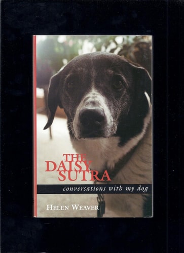 The Daisy Sutra