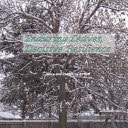 Enduring Leaves, Decisive Resilience
