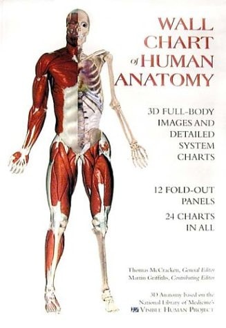 Wall Chart of Human Anatomy 3D Full-body Images and Detailed System Charts