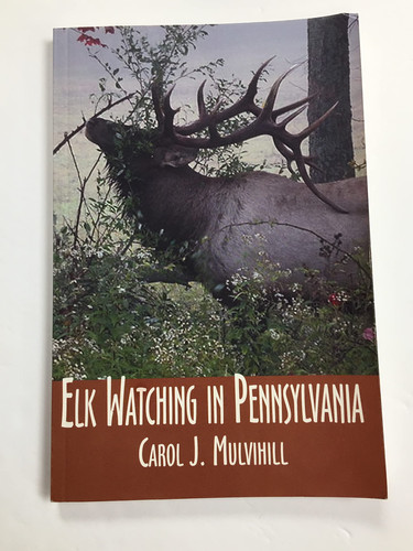 Elk Watching in Pennsylvania