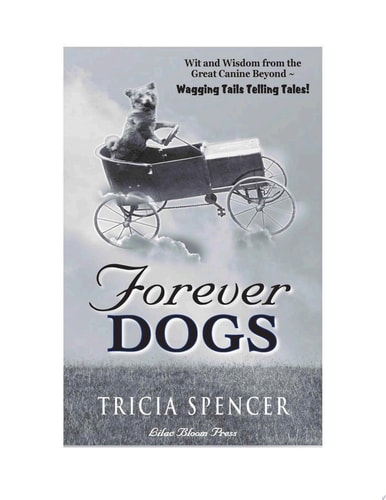 Forever Dogs Wit and Wisdom from the Great Canine Beyond - Wagging Tails Telling Tales!