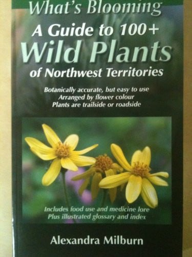 What's Blooming A Guide to 100+ Wild Plants of Northwest Territories