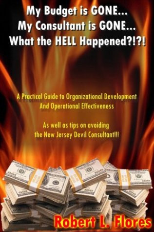 My Budget Is Gone. . . My Consultant Is Gone. . . What the HELL Happened?!?! A Practial Guide to Organization Development and Operational Effectiveness As Well As Tips on Avoiding the New Jersey Devil Consultant