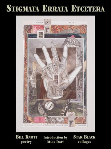 Stigmata Errata Etcetera (Poet/Artist Collaboration Series)