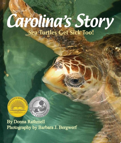 Carolina's Story Sea Turtles Get Sick Too!