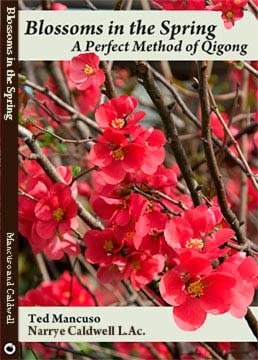 Blossoms in the Spring A Perfect Method of Qigong
