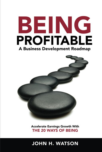 Being Profitable: A Business Development Roadmap: Accelerate Earnings Growth With The 20 Ways Of Being