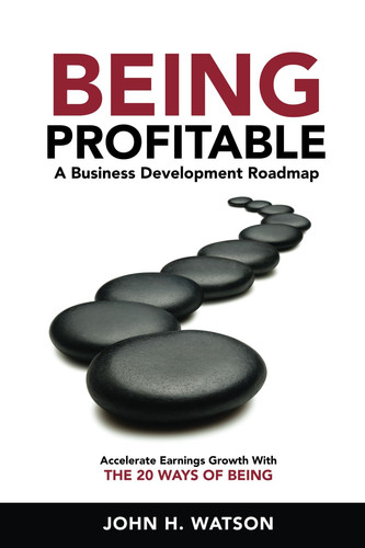 Being Profitable: A Business Development Roadmap: Accelerate Earnings Growth With The 20 Ways Of Being