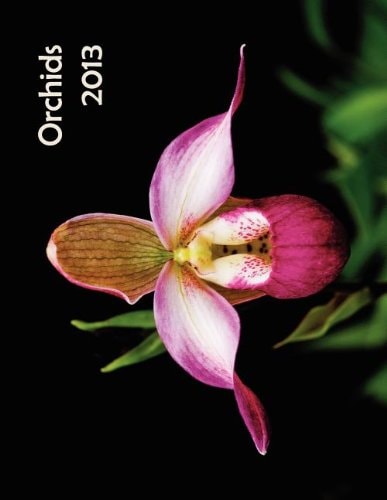 Orchids 2013